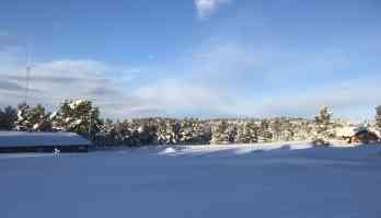 Hyttetomt Rondablikkveien